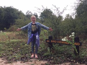 Read more about the article Reconnecting with Guadalupe River State Park and the Bird Blinds